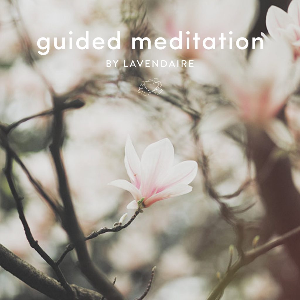 guided-med-self-love